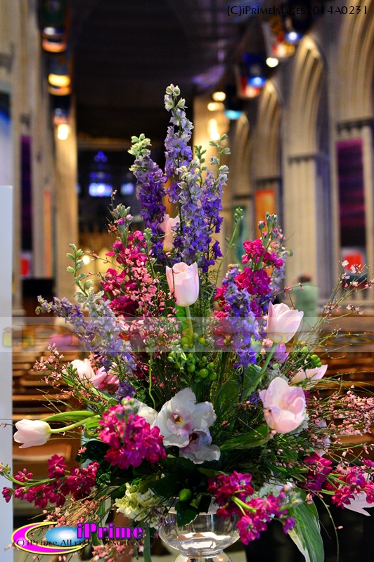 Flower Mart 2014 at National Cathedral iPrimeNews