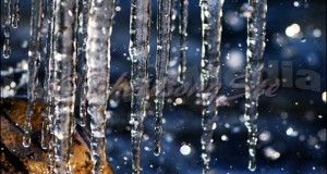 Icicle – A winter cold day.