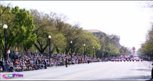 National Cherry Blossom Festival Parade 2016